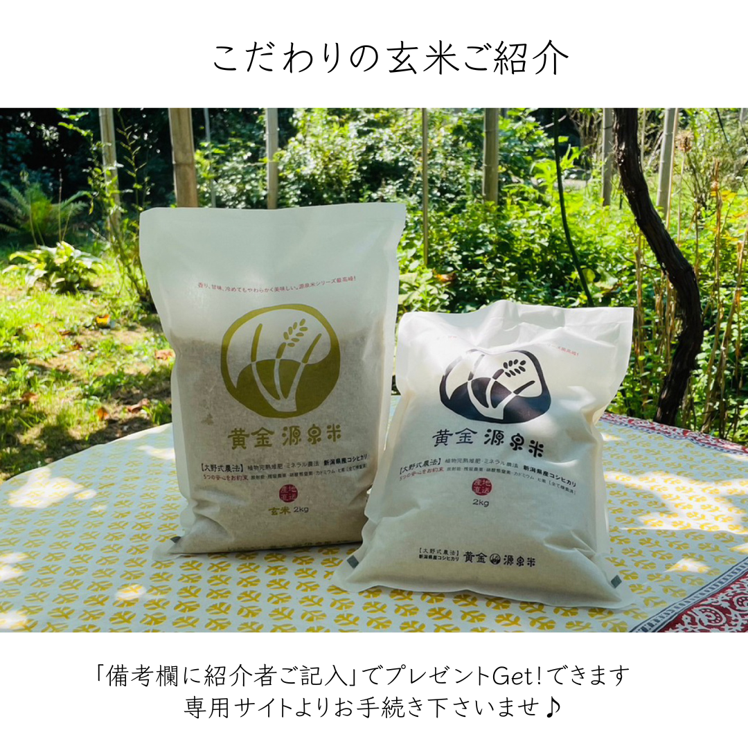 無農薬玄米