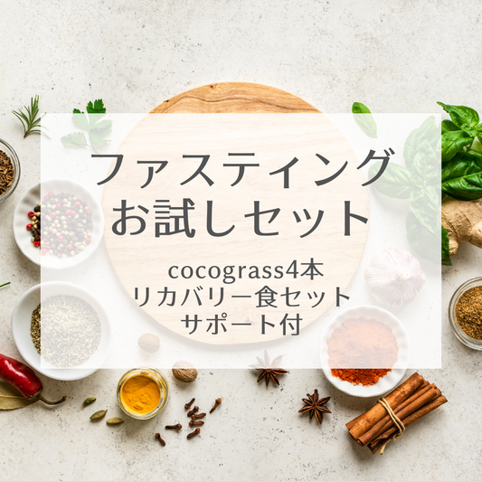 ファスティングお試しセット　